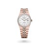Rolex Land-Dweller - Gandelman