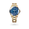 Rolex Deepsea - Gandelman