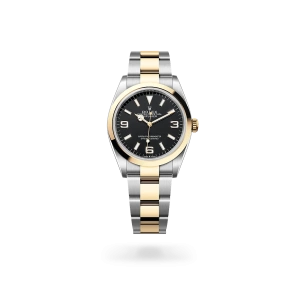 Rolex Explorer 36 in Oystersteel with a white dial, smooth bezel, and Oyster bracelet - Gandelman