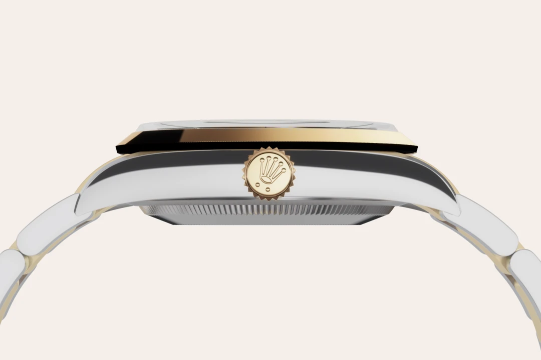 Rolex Explorer 36 in Oystersteel and yellow gold with Black dial, smooth bezel, and Oyster bracelet, m124273-0001 - Gandelman Rolex Explorer 36 in Oystersteel and yellow gold with Black dial, smooth bezel, and Oyster bracelet, m124273-0001 - Gandelman