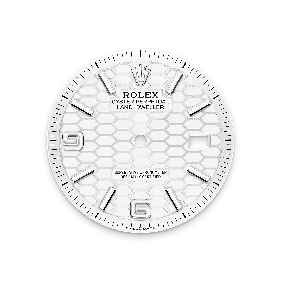 Rolex Land-Dweller in Oystersteel and gold, m127234-0001 - Gandelman