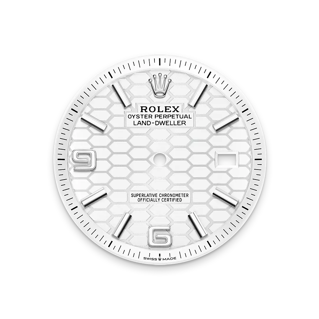 Rolex Land-Dweller in Oystersteel and gold, m127334-0001 - Gandelman