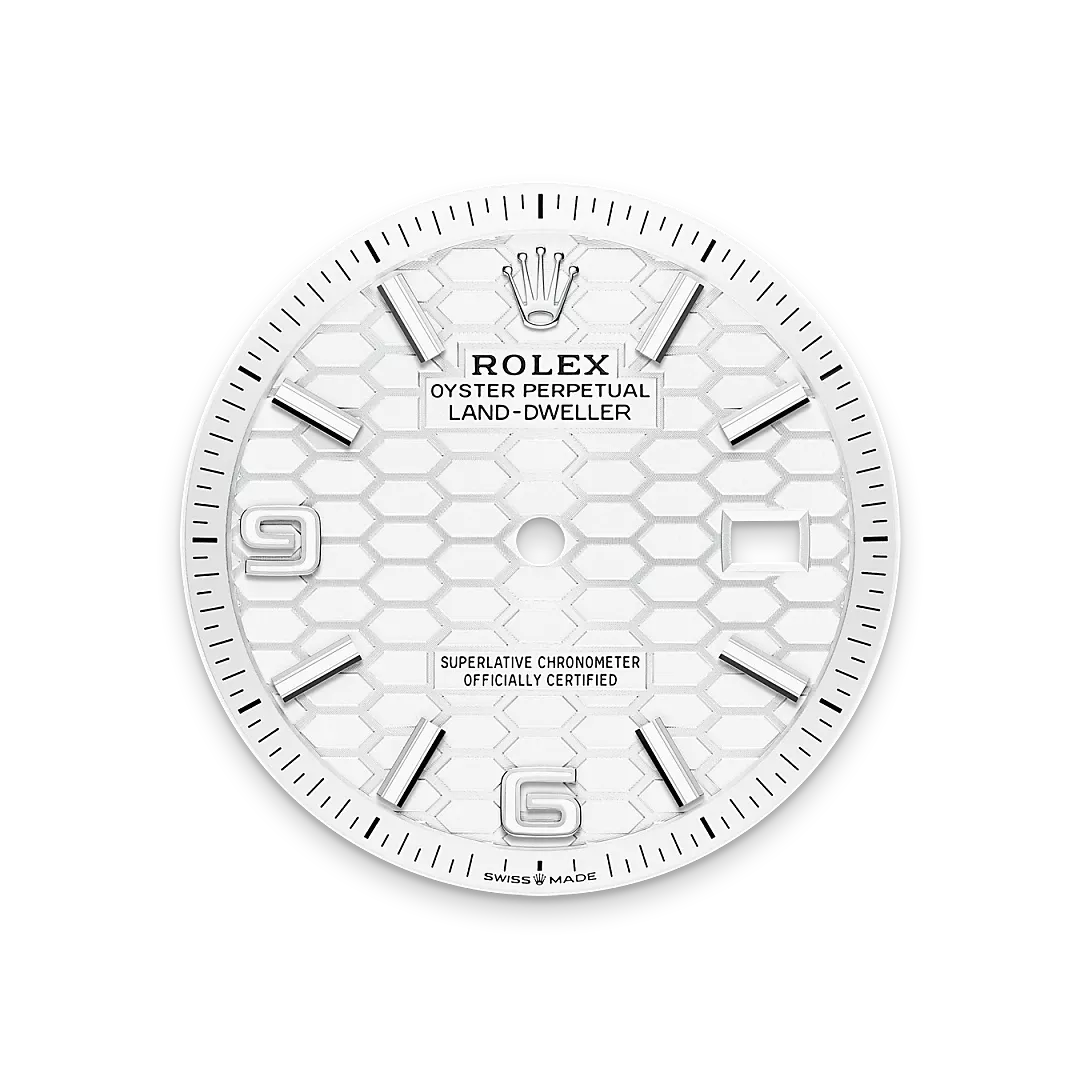 Rolex Land-Dweller in Oystersteel and gold, m127234-0001 - Gandelman