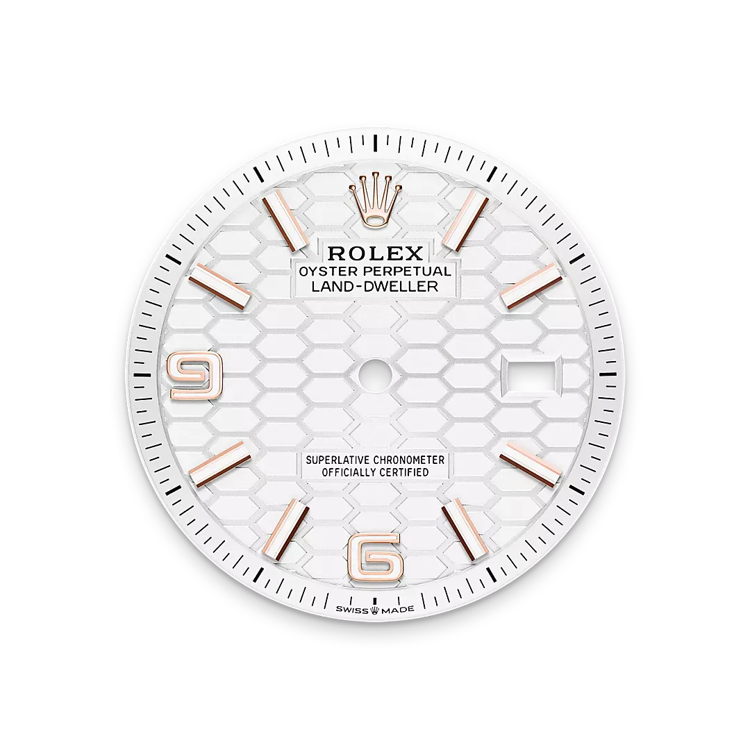 Rolex Land-Dweller 36 in Everose gold with an intense white dial, fluted bezel, and flat Jubilee bracelet, m127235-0001 - Gandelman