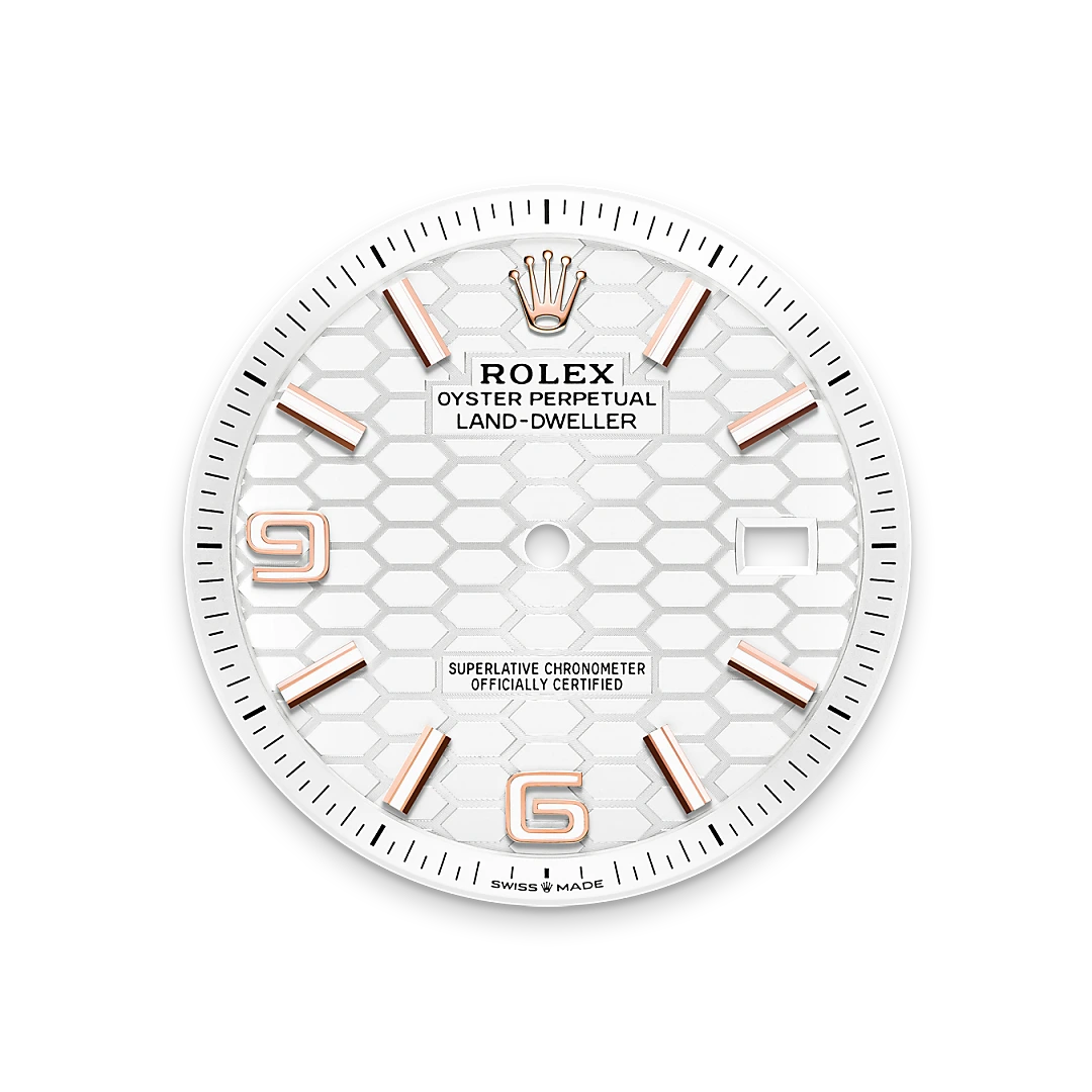 Rolex Land-Dweller 40 in Everose gold with an Intense white dial, fluted bezel, and flat Jubilee bracelet, m127335-0001 - Gandelman