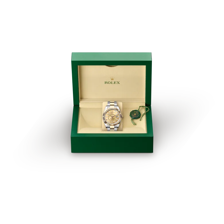 Rolex Sky-Dweller in Oystersteel and gold, m336933-0001 - Gandelman