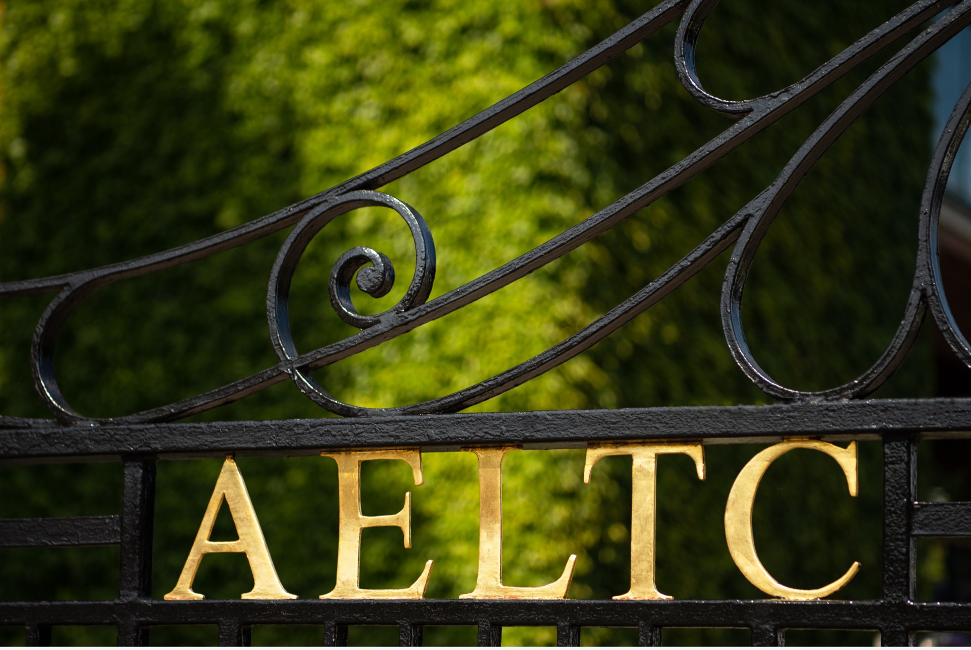 Rolex and The Championships, Wimbledon Rolex and The Championships, Wimbledon