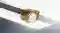 Rolex 1908 watches - Gandelman, Aruba Rolex 1908 watches - Gandelman, Aruba