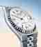 Rolex Land-Dweller watches: Dial with honeycomb motif and exclusive display - Gandelman, Aruba Rolex Land-Dweller watches: Dial with honeycomb motif and exclusive display - Gandelman, Aruba