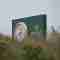 Rolex & The Open: golf’s oldest major Rolex & The Open: golf’s oldest major